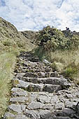 Inca trail, incan stairway